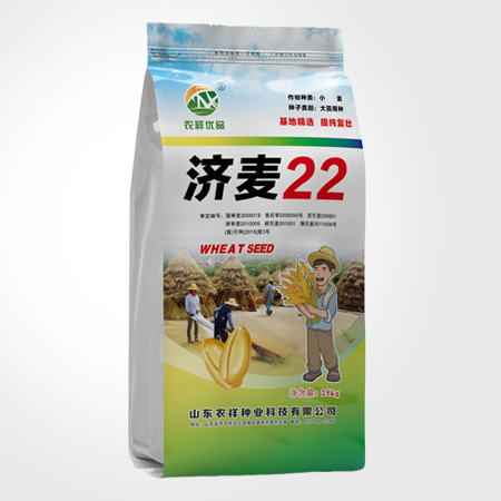 小麥種濟麥22