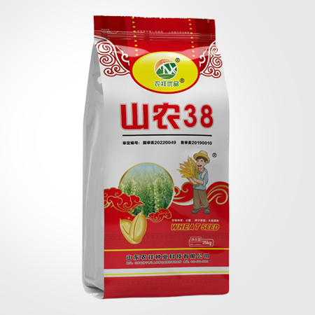 小麥種山農(nóng)38