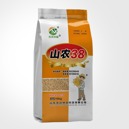 小麥種山農(nóng)38